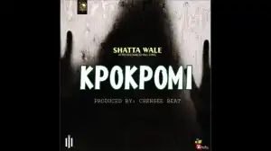 Shatta Wale - Kpokpomi